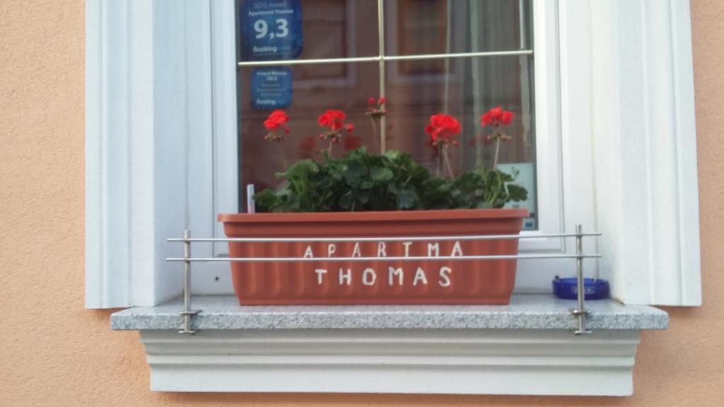 Apartment Thomas Випава Экстерьер фото